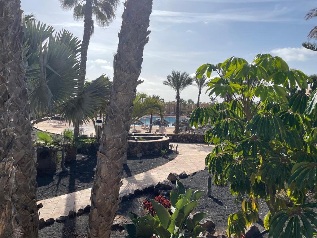 코라레호 Casa Mari Y Jose Con Grandes Piscinas Y Wifi Gratis 아파트 외부 사진